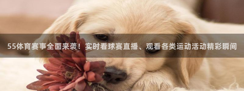 55体育赛事全面来袭！实时看球赛直播、观看各类运动活动精彩瞬间