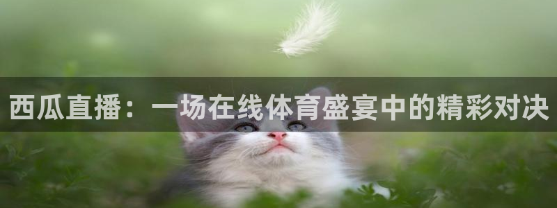 西瓜直播：一场在线体育盛宴中的精彩对决