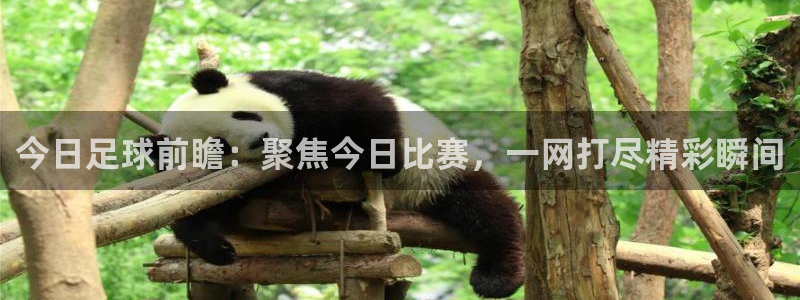 今日足球前瞻：聚焦今日比赛，一网打尽精彩瞬间