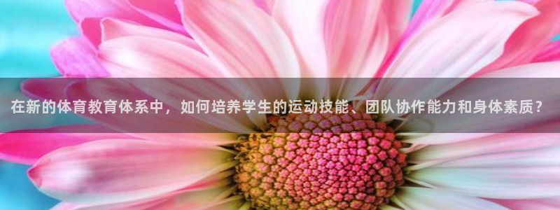 在新的体育教育体系中，如何培养学生的运动技能、团队协作能力和身体素质？