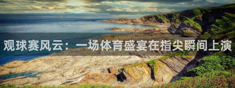 观球赛风云：一场体育盛宴在指尖瞬间上演