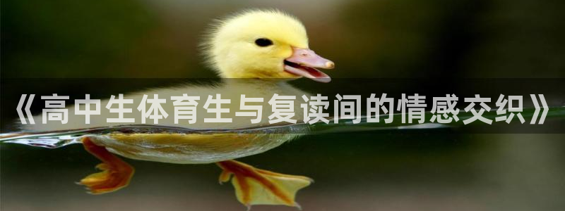 《高中生体育生与复读间的情感交织》