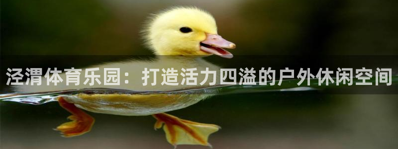 泾渭体育乐园：打造活力四溢的户外休闲空间