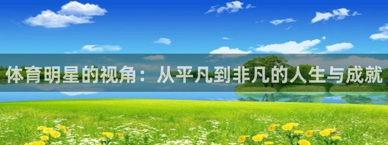 体育明星的视角：从平凡到非凡的人生与成就