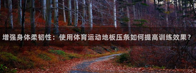 增强身体柔韧性：使用体育运动地板压条如何提高训练效果？