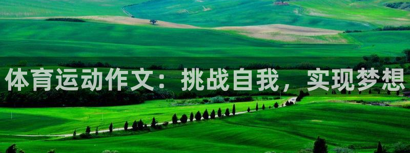体育运动作文：挑战自我，实现梦想