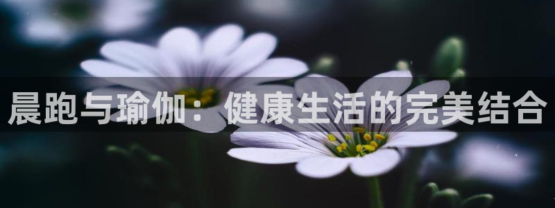 晨跑与瑜伽：健康生活的完美结合