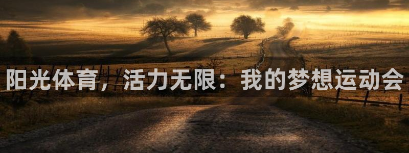 阳光体育，活力无限：我的梦想运动会