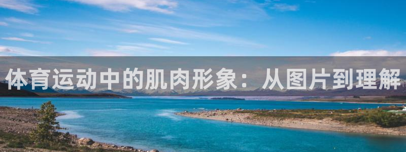 体育运动中的肌肉形象：从图片到理解