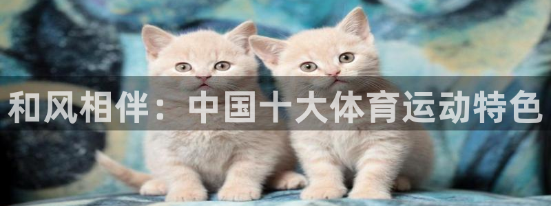 和风相伴：中国十大体育运动特色