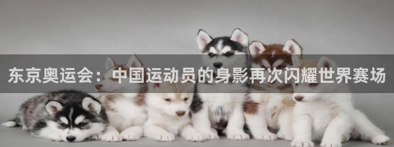 东京奥运会：中国运动员的身影再次闪耀世界赛场