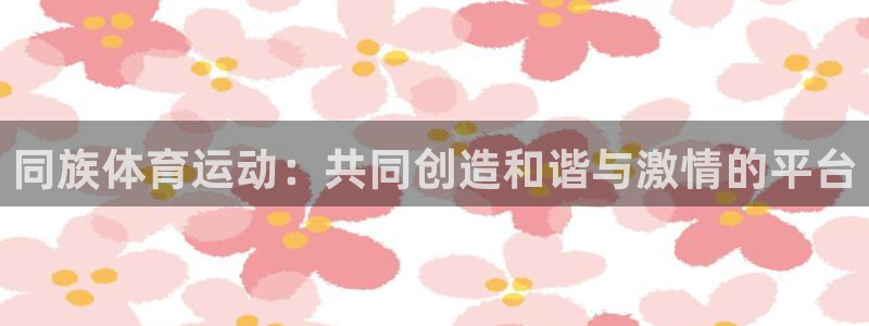 同族体育运动：共同创造和谐与激情的平台