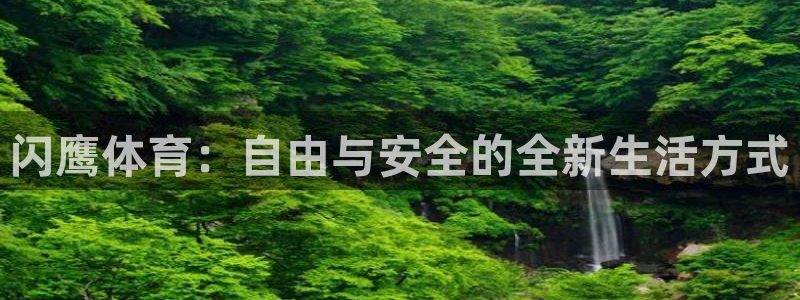 闪鹰体育：自由与安全的全新生活方式