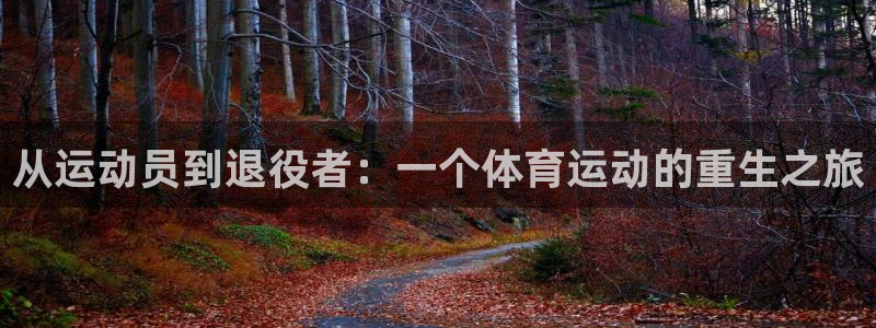 从运动员到退役者：一个体育运动的重生之旅