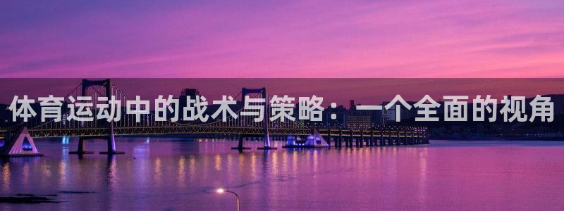 体育运动中的战术与策略：一个全面的视角