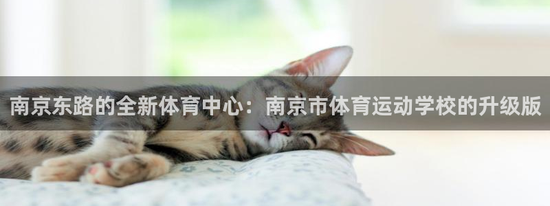 南京东路的全新体育中心：南京市体育运动学校的升级版