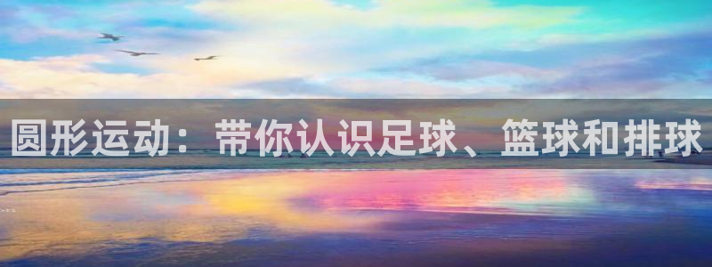 圆形运动：带你认识足球、篮球和排球