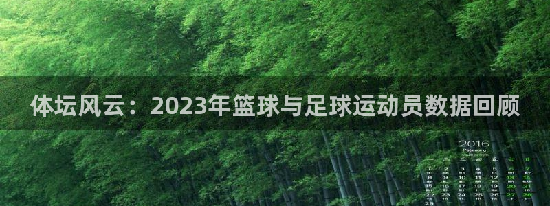 体坛风云：2023年篮球与足球运动员数据回顾