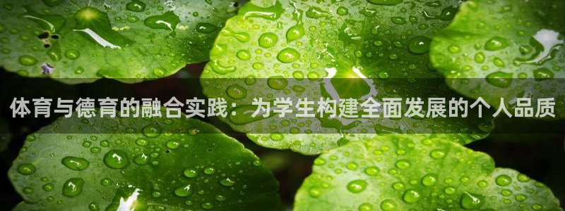 体育与德育的融合实践：为学生构建全面发展的个人品质