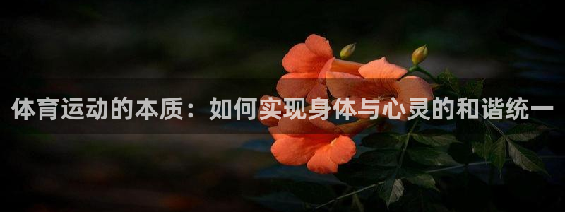 体育运动的本质：如何实现身体与心灵的和谐统一