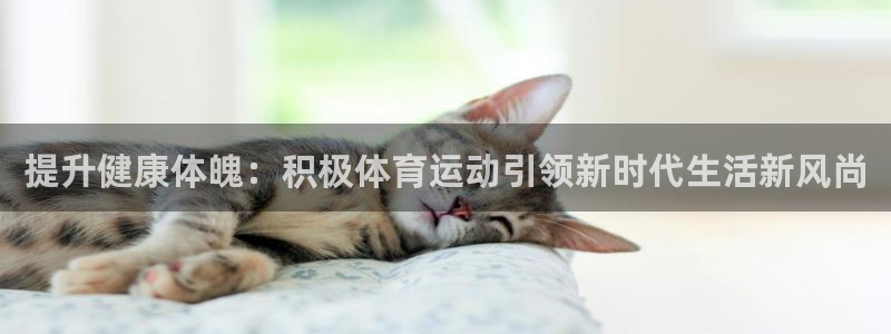 提升健康体魄：积极体育运动引领新时代生活新风尚