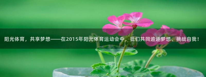 阳光体育，共享梦想——在2015年阳光体育运动会中，我们共同追逐梦想、挑战自我！