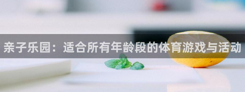 亲子乐园：适合所有年龄段的体育游戏与活动