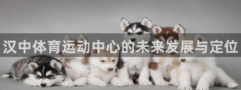 汉中体育运动中心的未来发展与定位