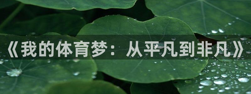 《我的体育梦：从平凡到非凡》