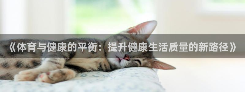《体育与健康的平衡：提升健康生活质量的新路径》