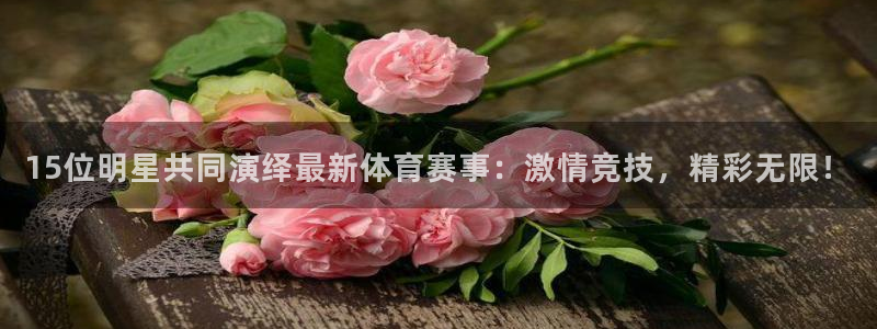 15位明星共同演绎最新体育赛事：激情竞技，精彩无限！