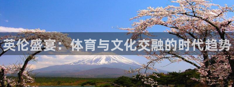英伦盛宴：体育与文化交融的时代趋势